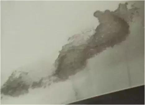 河南必威体育网投